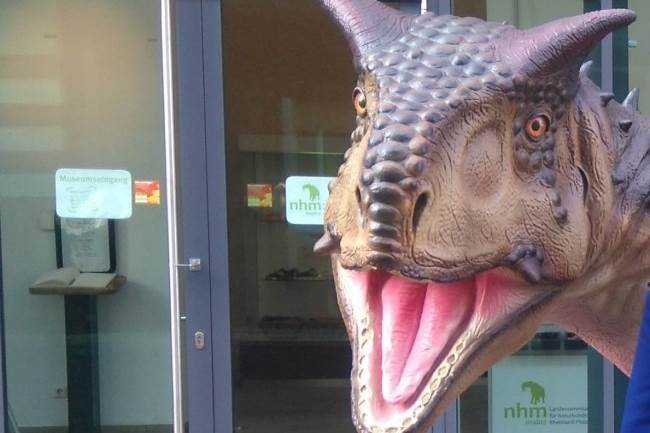   - MONDO, Lana Stošić 