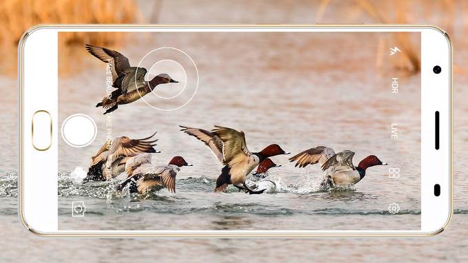   - MONDO portal/Oukitel Mobile 