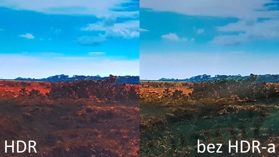   - MONDO portal / Marko Čavić 