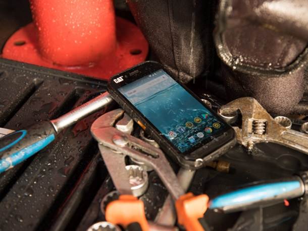 - Promo/Cat    - Promo/Cat