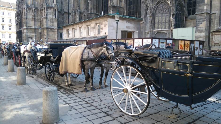   - MONDO/Predrag Vujić 