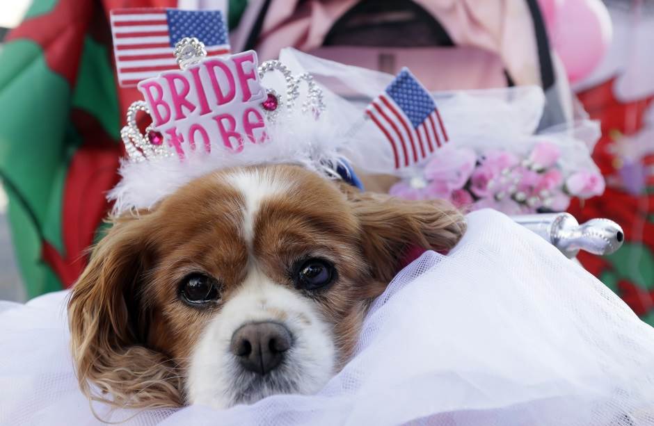   - AP Photo/Kirsty Wigglesworth 