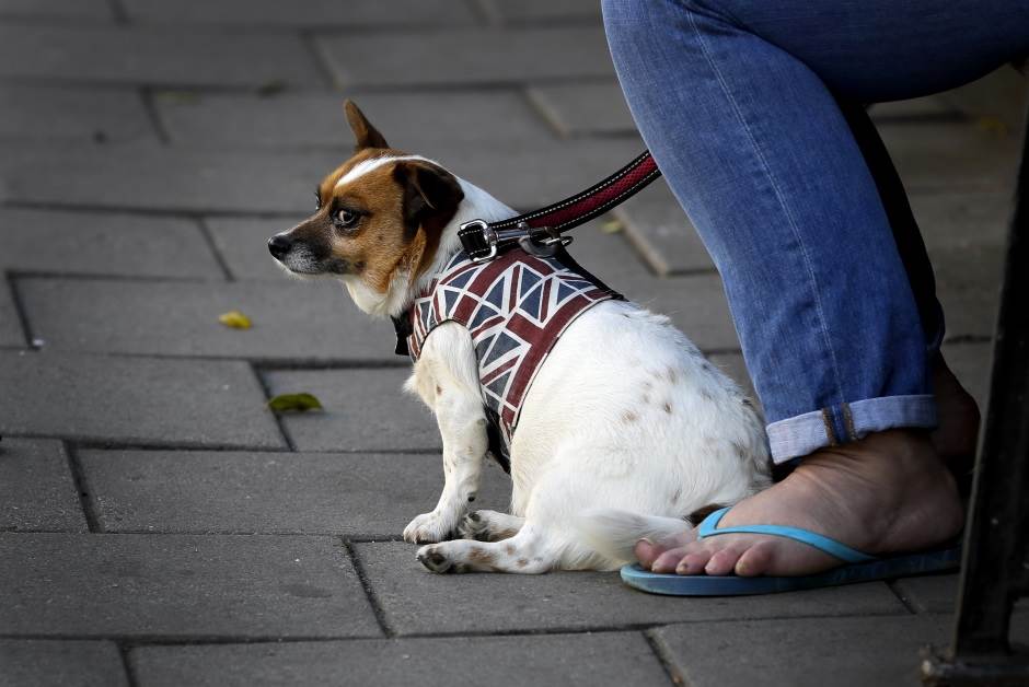   - AP Photo/Kirsty Wigglesworth 