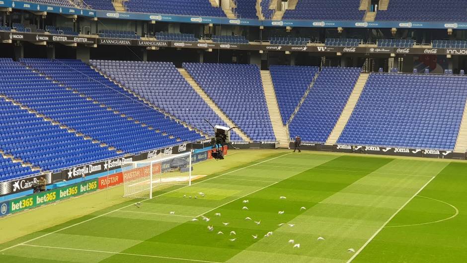   - MONDO portal / Marko Čavić 