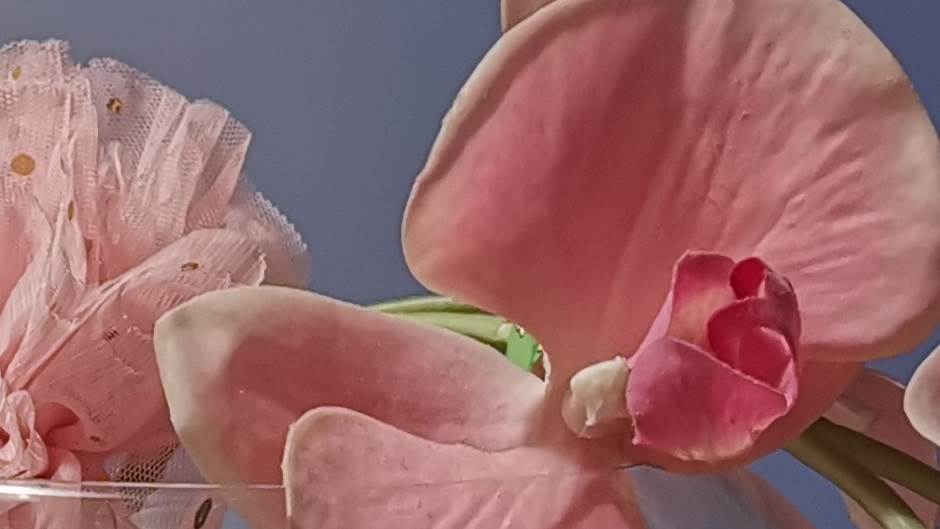   - MONDO portal / Marko Čavić 