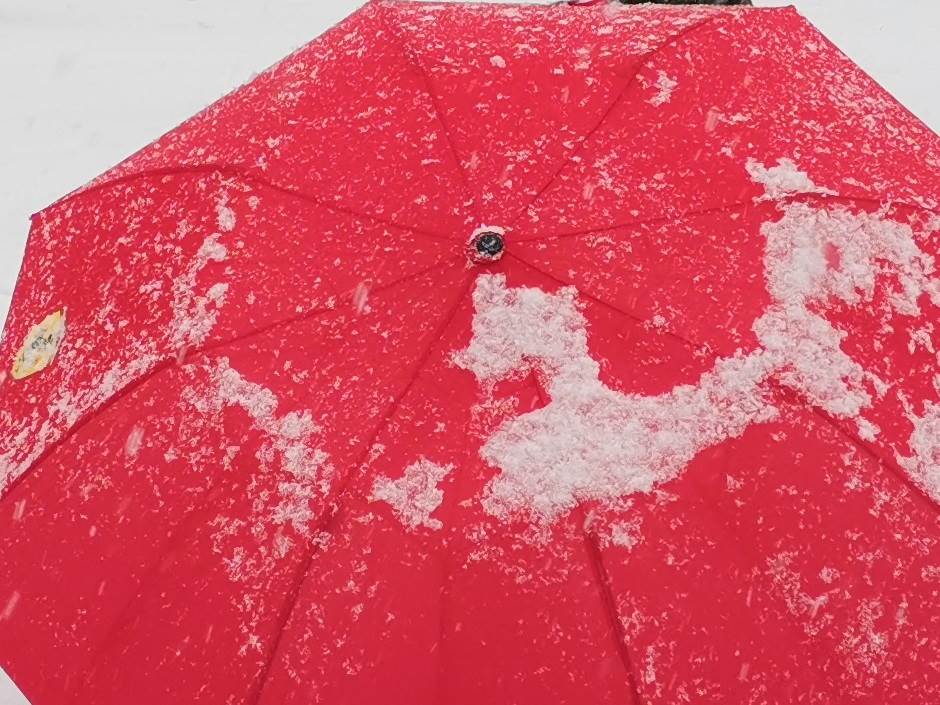   - MONDO portal / Marko Čavić 