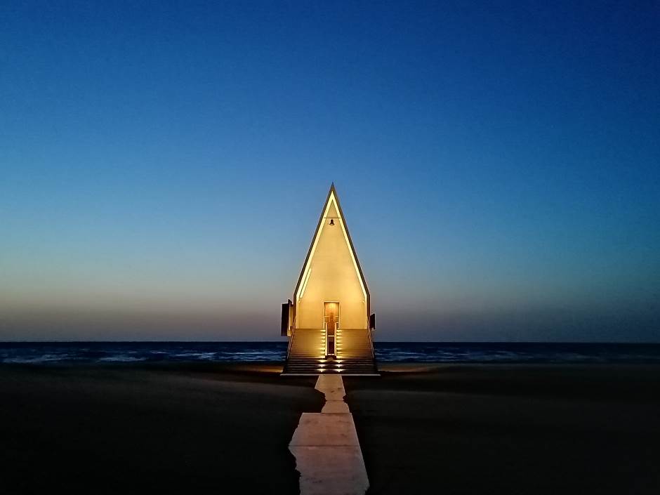   - MONDO portal / HONOR 