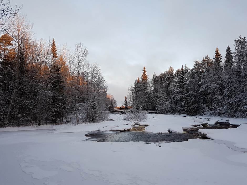   - MONDO portal, Marko Čavić 