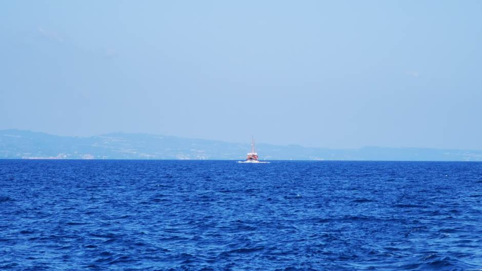   - MONDO / Marko Čavić 