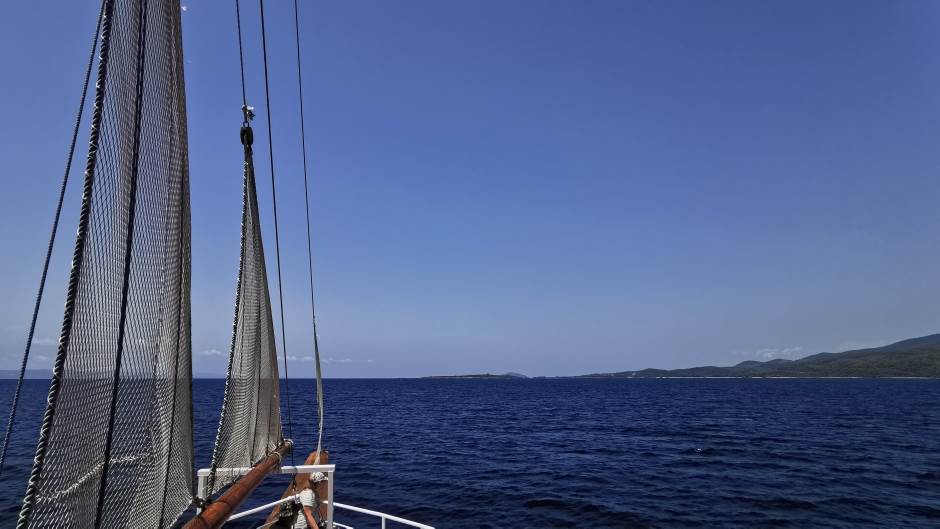   - MONDO / Marko Čavić 