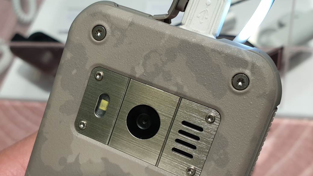   - MONDO / Marko Čavić 