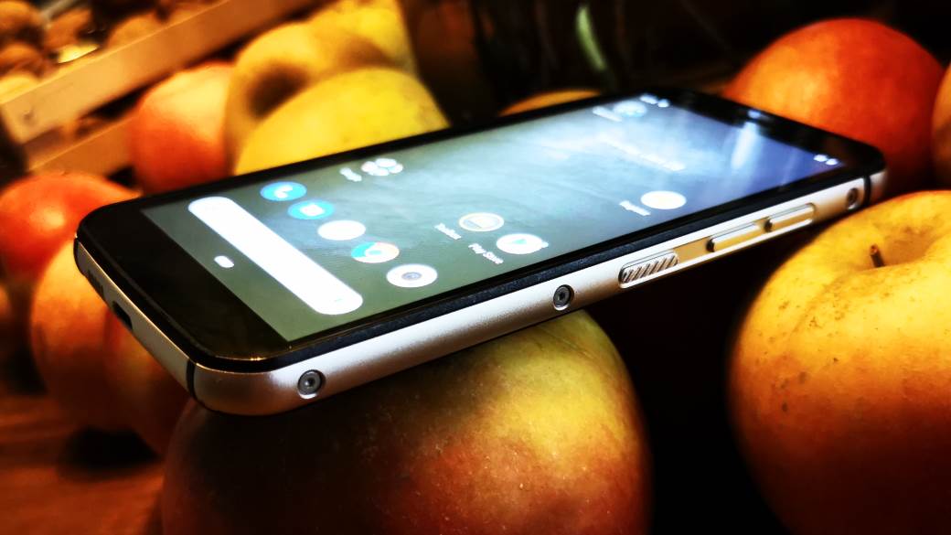   - MONDO / Marko Čavić 