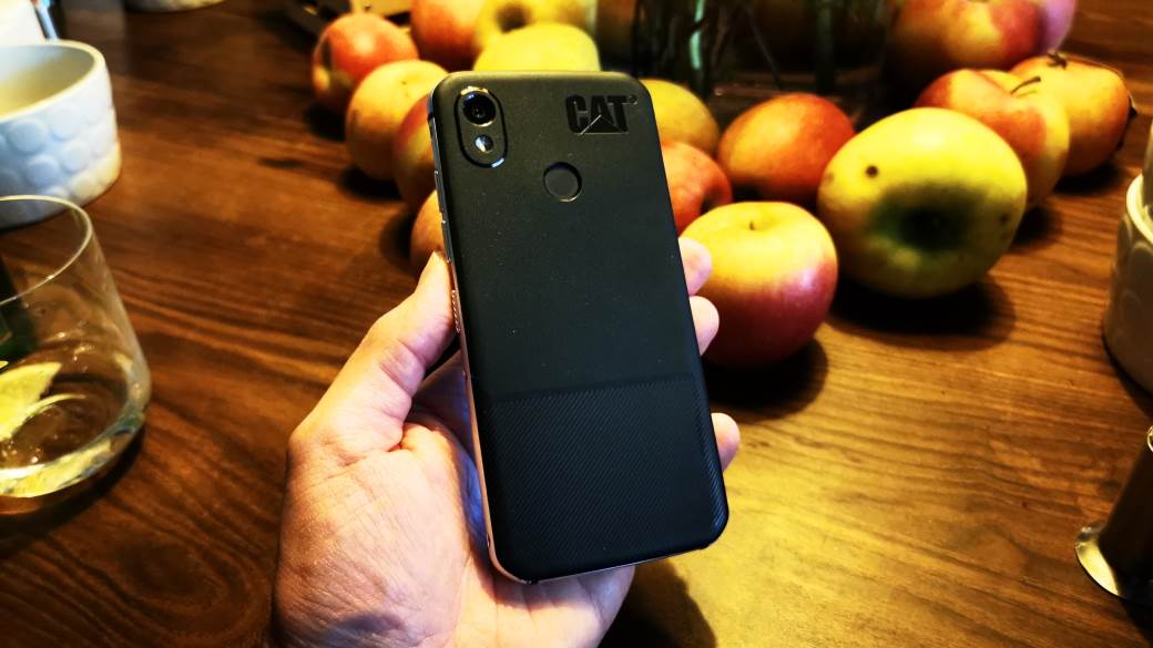   - MONDO / Marko Čavić 