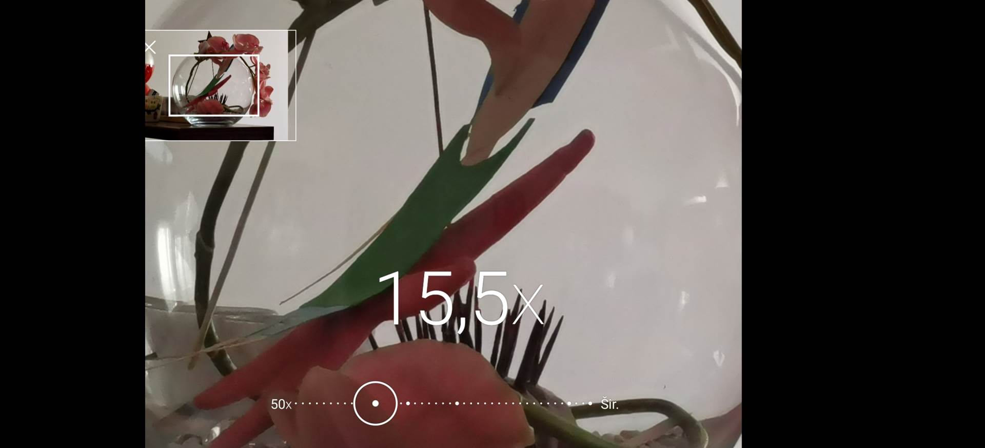   - MONDO / Marko Čavić 