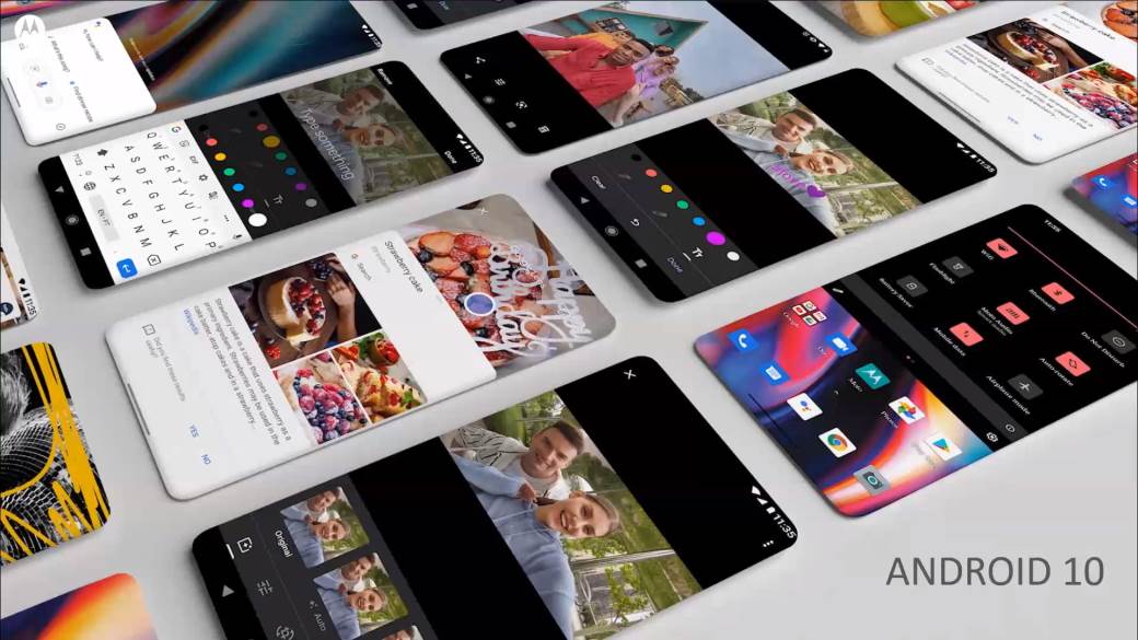   - MONDO / Marko Čavić 