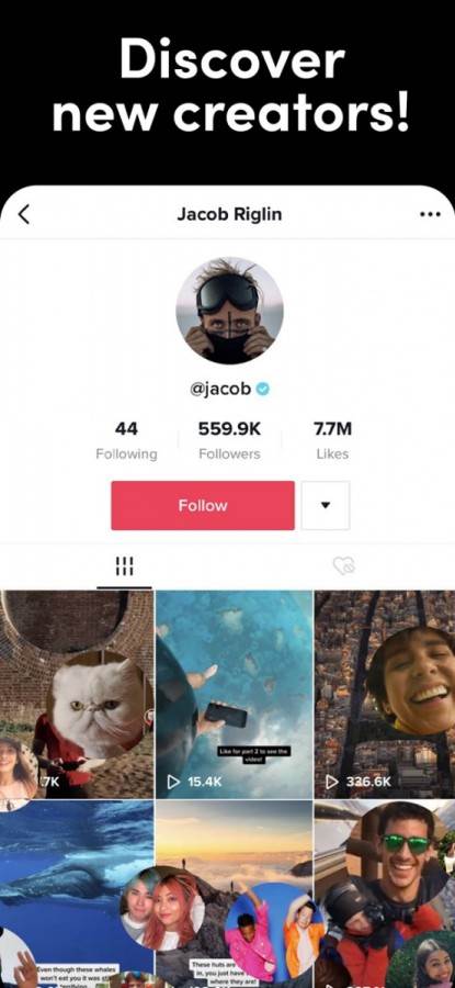 - MONDO / TikTok    - MONDO / TikTok