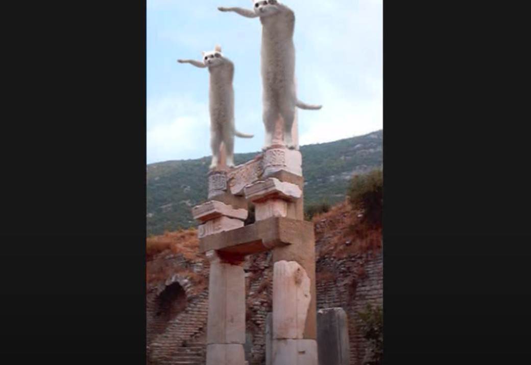   - Mondo / wow4ever1212 