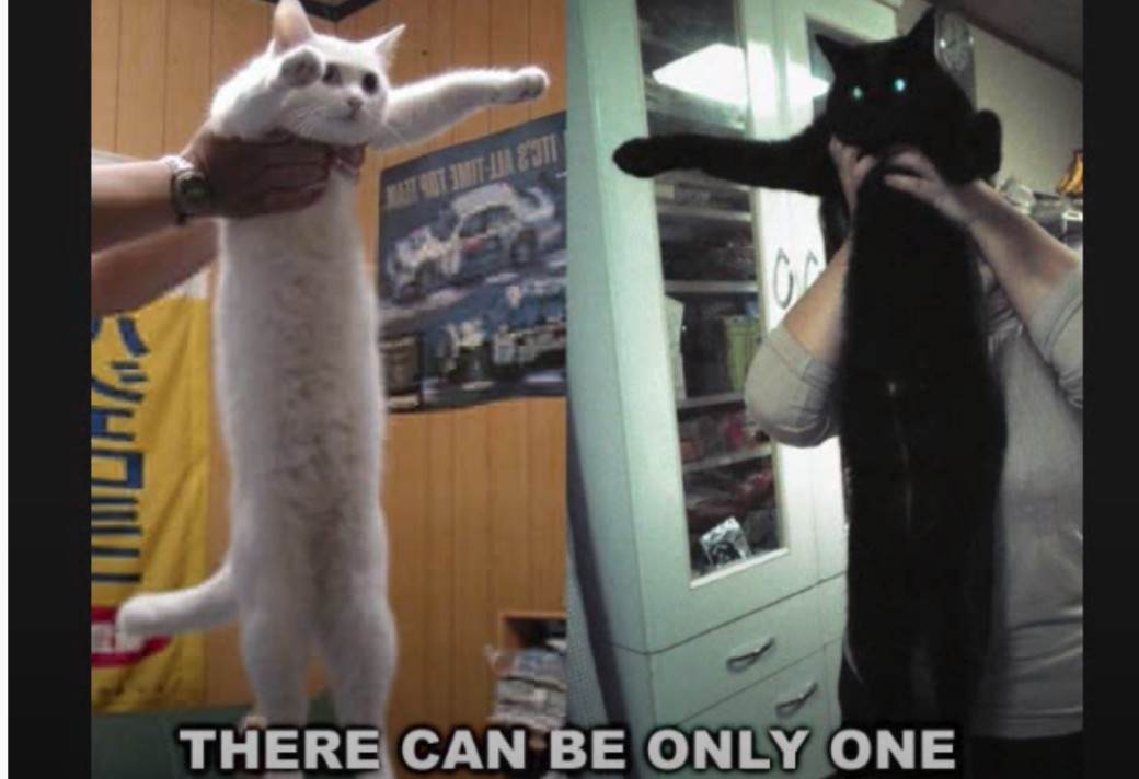   - Mondo / wow4ever1212 