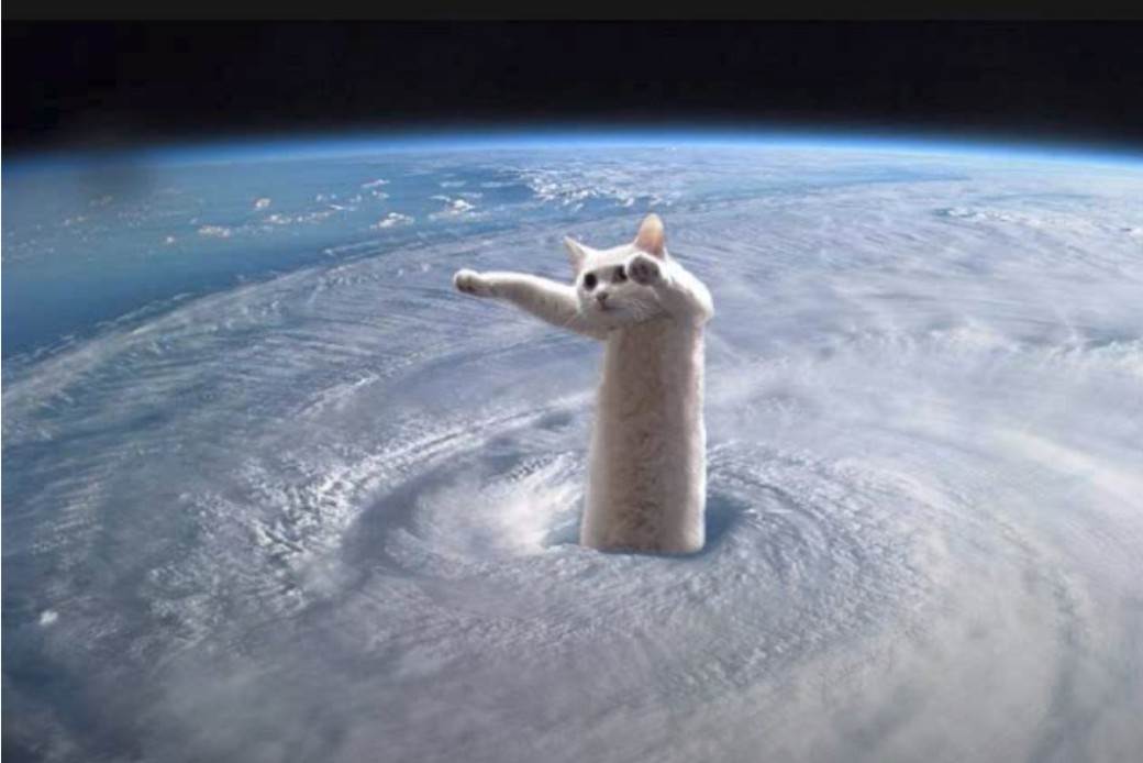   - Mondo / wow4ever1212 