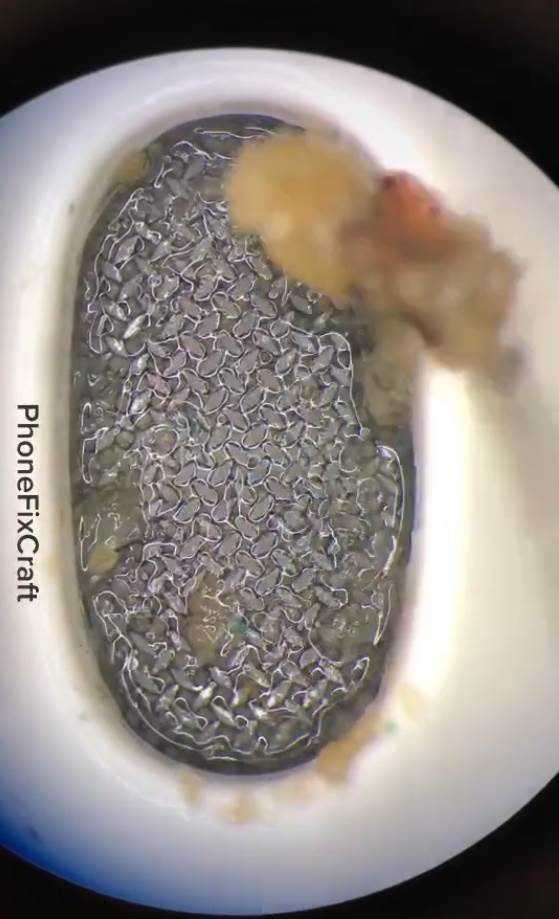   - MONDO / TikTok @phonefixcraft 