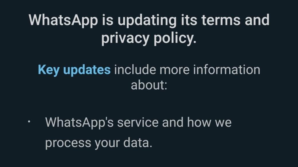   - MONDO / Marko Čavić 