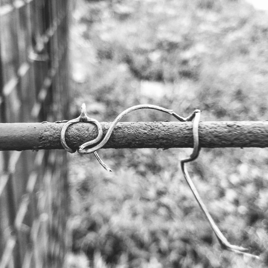   - Miloš Cvetković/MONDO portal. 