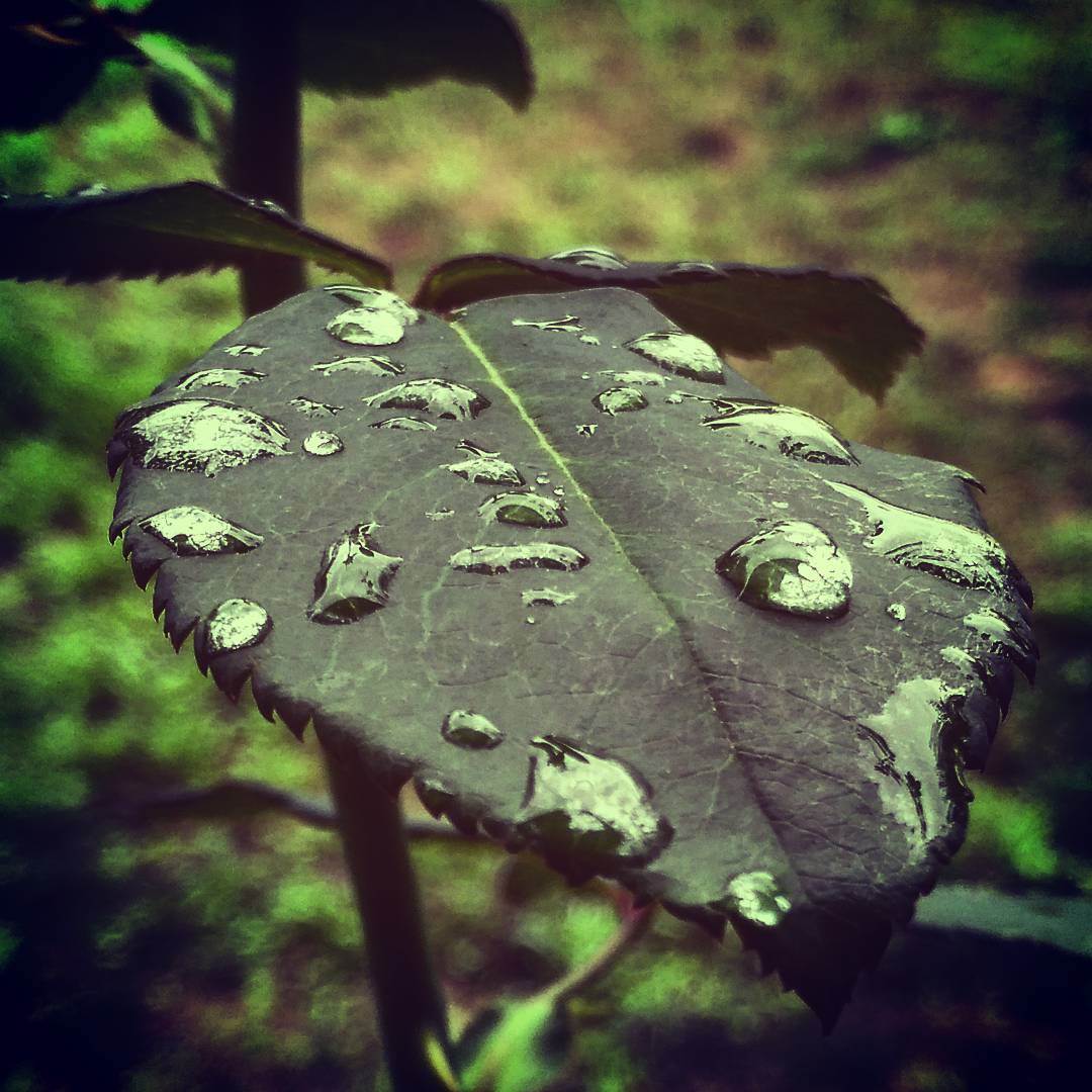   - Miloš Cvetković/MONDO portal. 