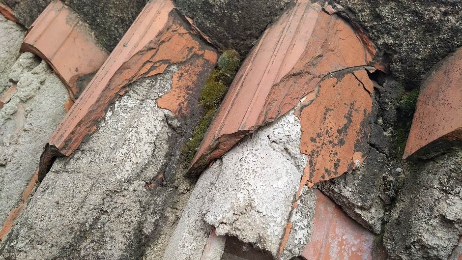   - MONDO/Saša Petrović 