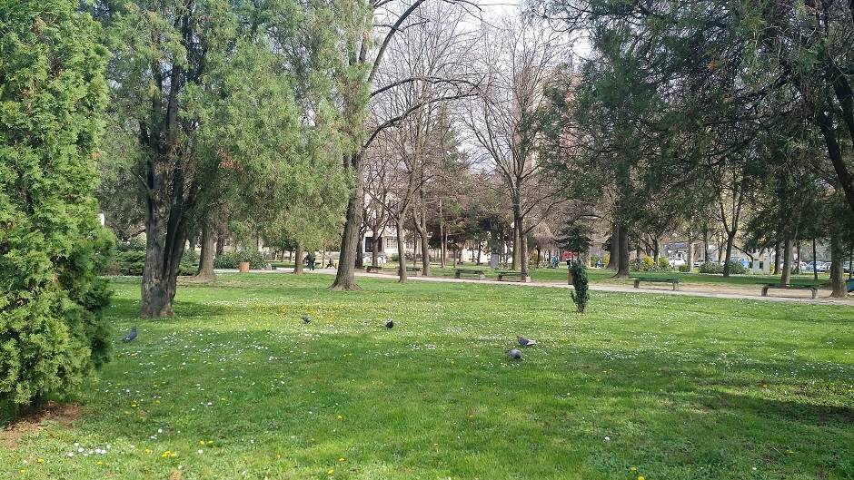   - MONDO/Saša Petrović 