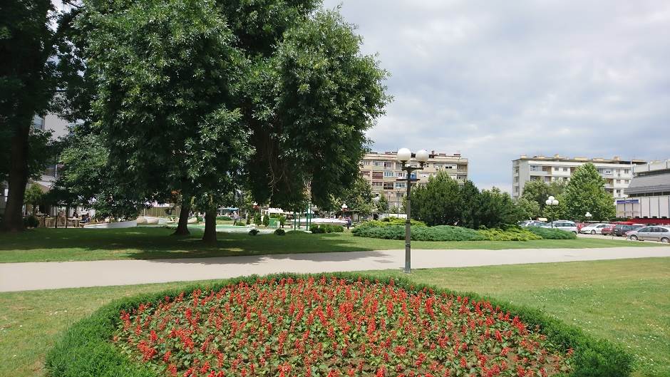   - MONDO/Saša Petrović 