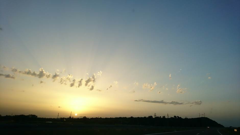   - MONDO/Saša Petrović 