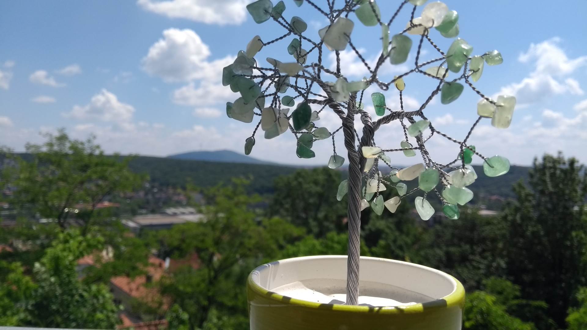   - MONDO/Nikola Naumović 