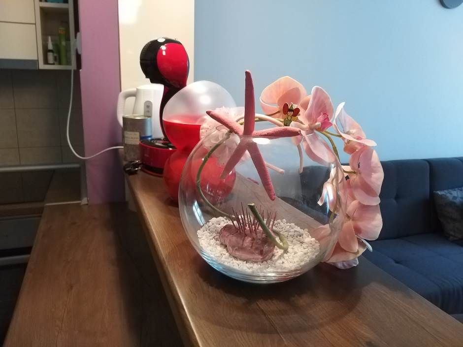   - MONDO portal / Marko Čavić 