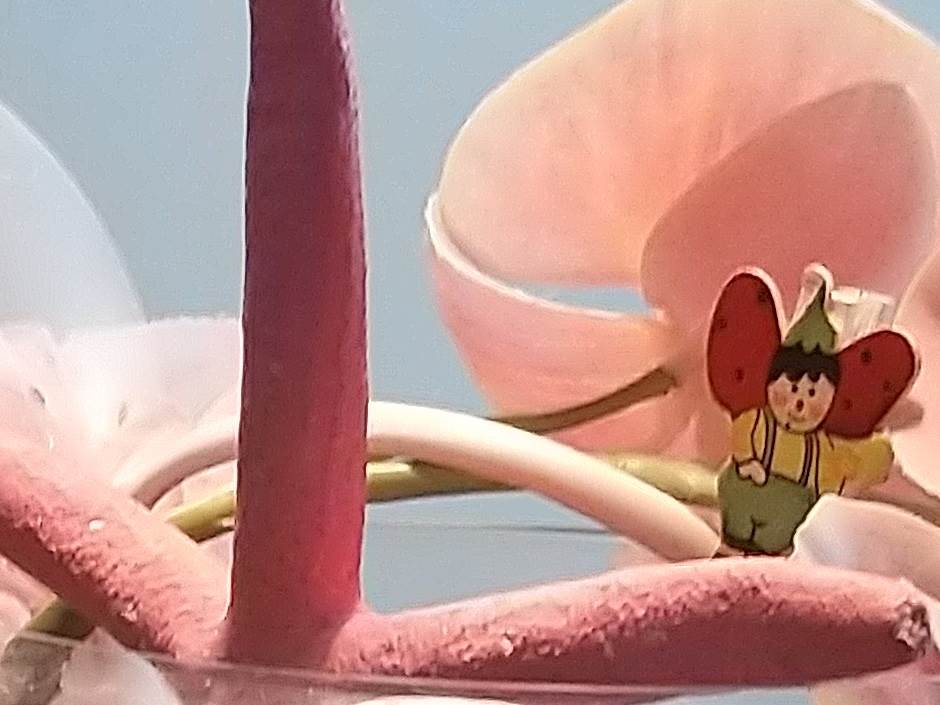   - MONDO portal / Marko Čavić 