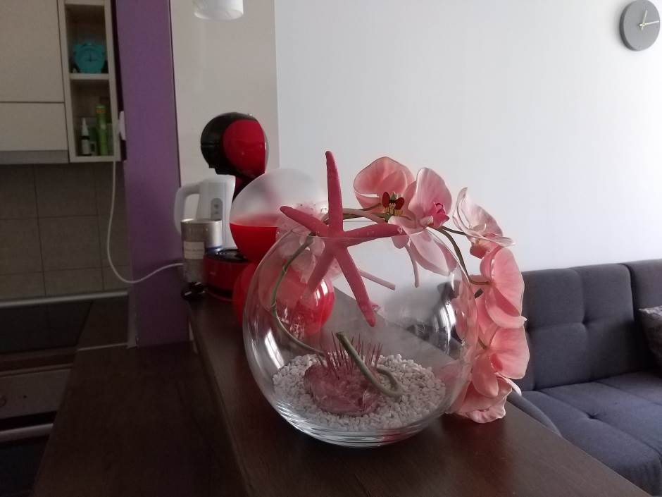   - MONDO portal / Marko Čavić 