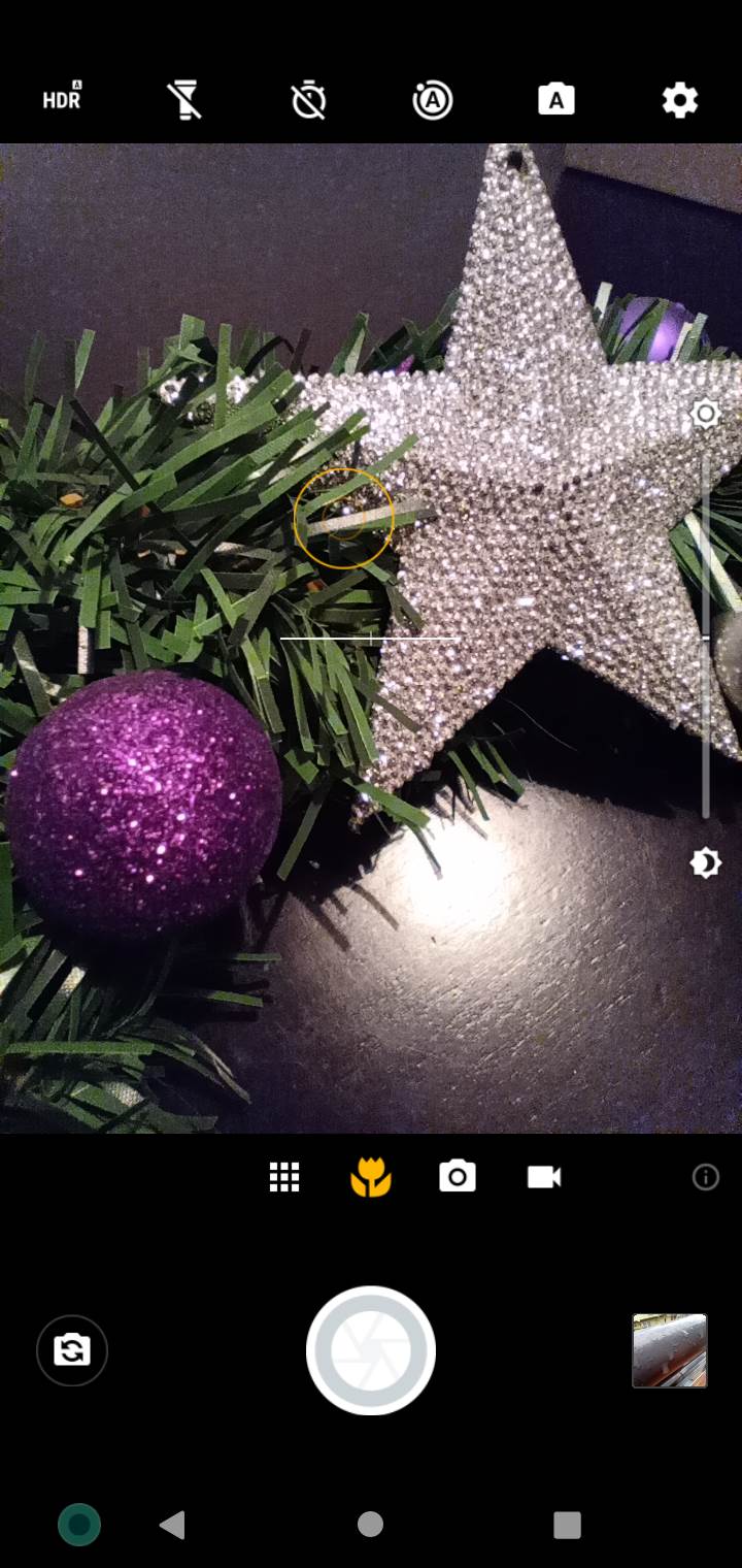   - MONDO / Marko Čavić 