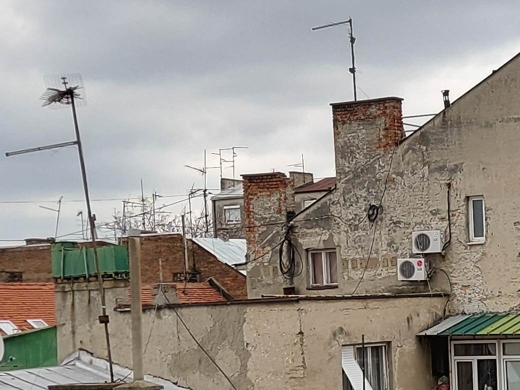   - MONDO / Marko Čavić 