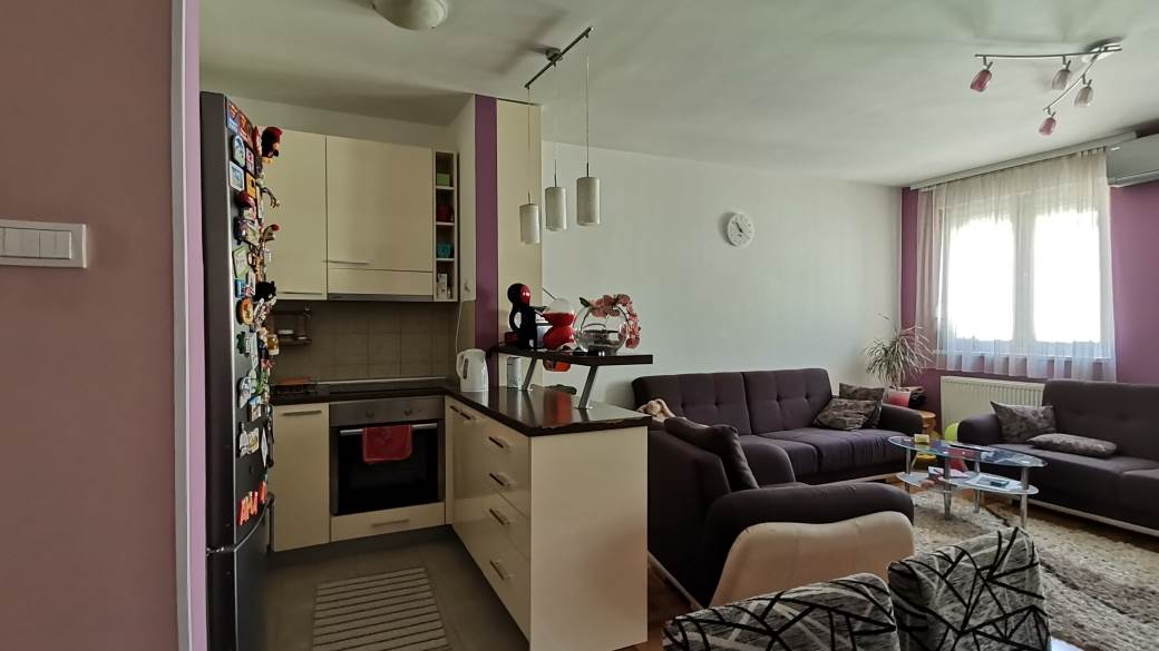   - MONDO / Marko Čavić 