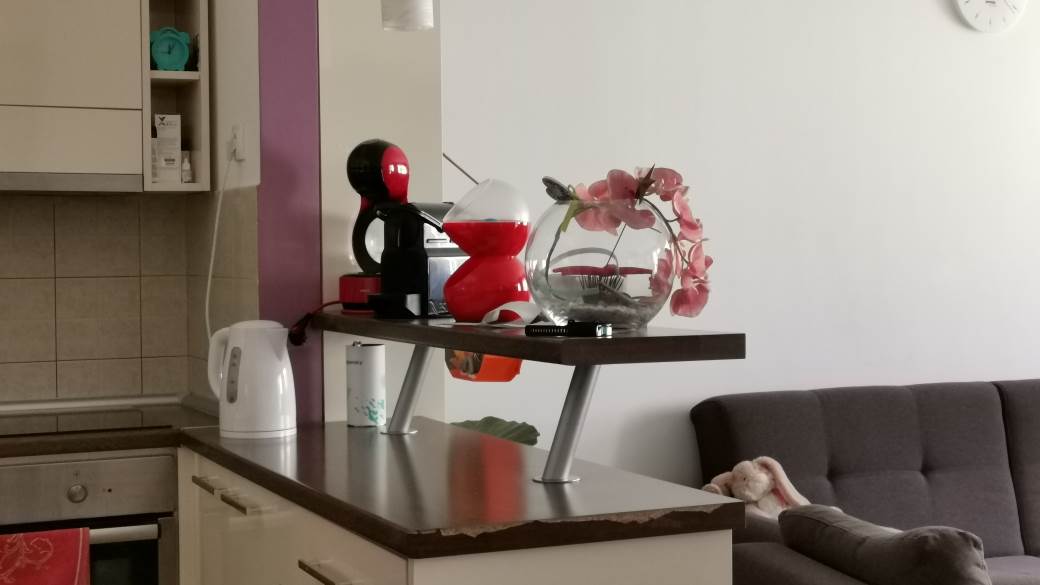   - MONDO / Marko Čavić 