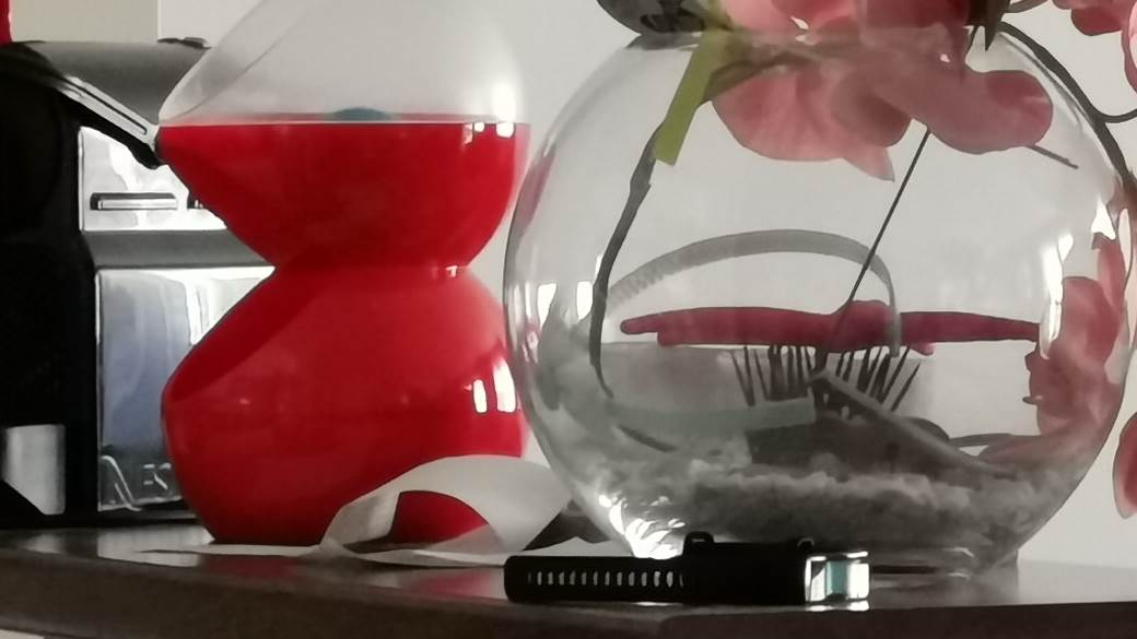   - MONDO / Marko Čavić 