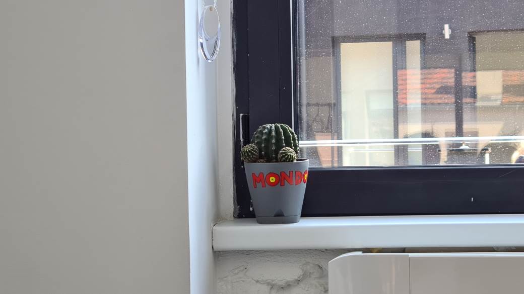   - MONDO / Marko Čavić 