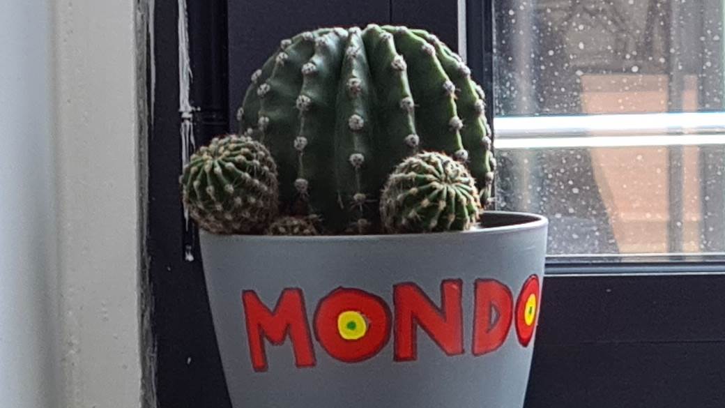   - MONDO / Marko Čavić 