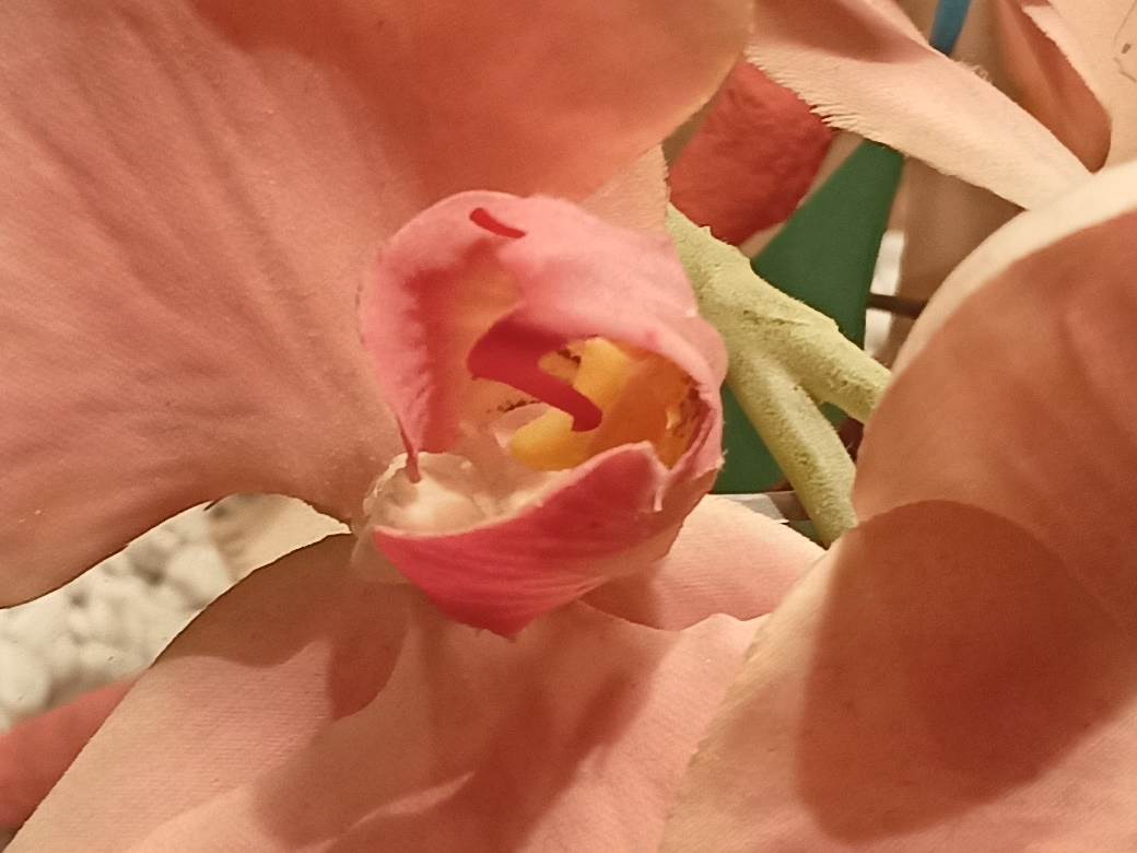 - MONDO / Marko Čavić    - MONDO / Marko Čavić