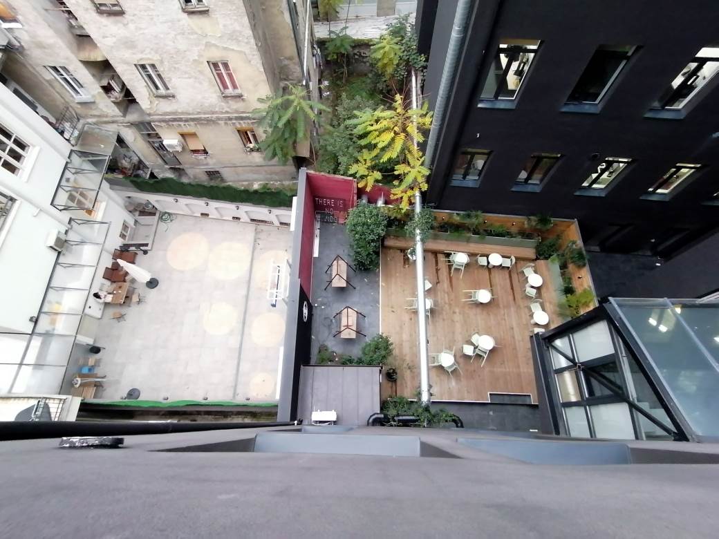   - MONDO / Marko Čavić 