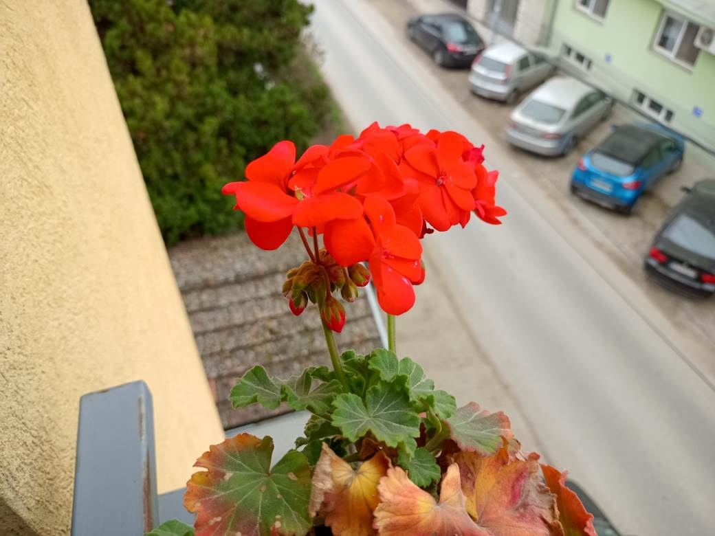 - MONDO / Marko Čavić    - MONDO / Marko Čavić