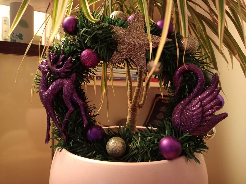 - MONDO / Marko Čavić    - MONDO / Marko Čavić