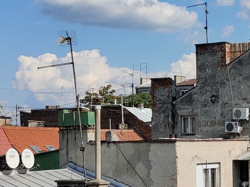   - MONDO / Marko Čavić 