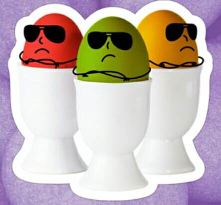   - MONDO portal/Viber 