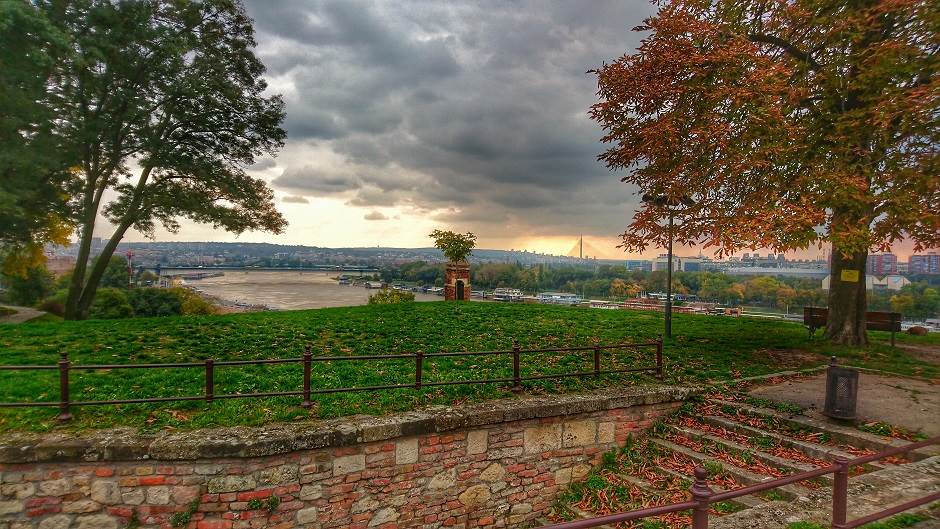   - MONDO/Saša Petrović 