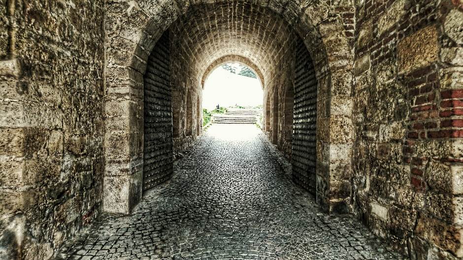   - MONDO/Saša Petrović 